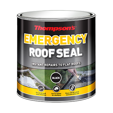 Thompson's Emergency Roof Seal - Black - 2.5L
