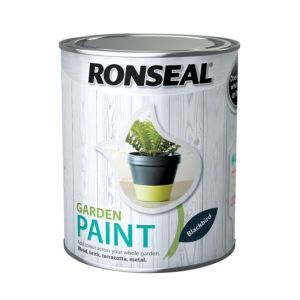 Ronseal Garden Paint Blackbird 750ml water-based multi-surface coating
