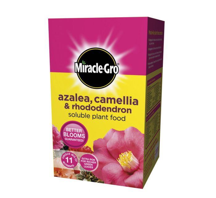 Miracle-Gro Azalea, Camellia and Rhododendron Soluble Plant Food 500g
