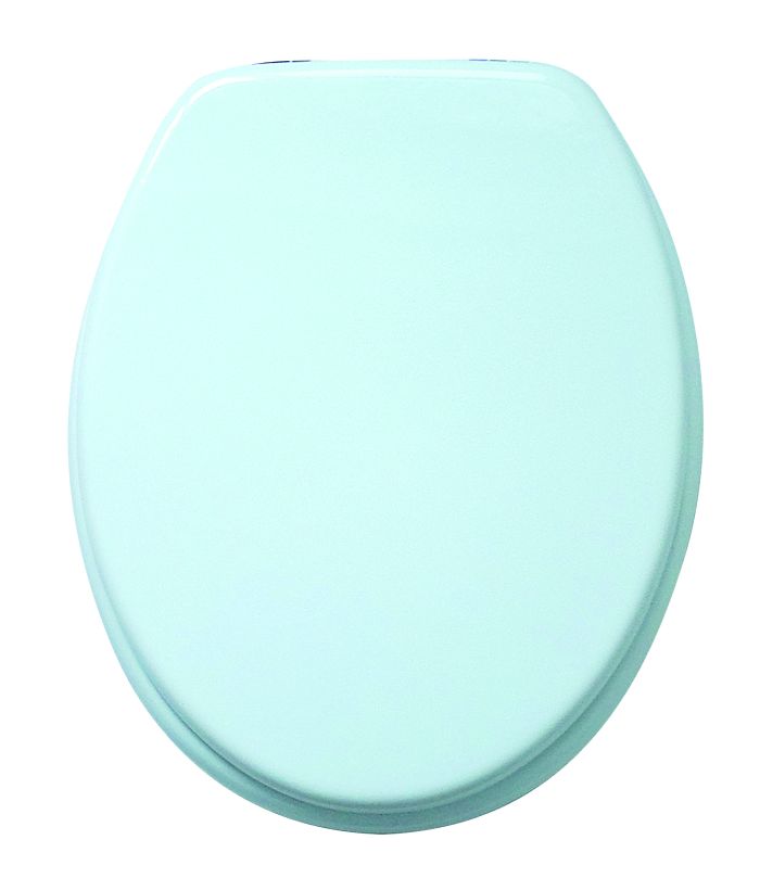 Blue Canyon MDF Toilet Seat SS Hinge in white