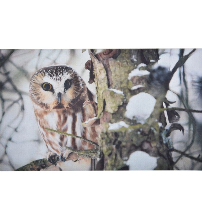 Fallen Fruits RB151 Owl Printed Doormat Rubber measuring 75 x 45 x 0.5 cm