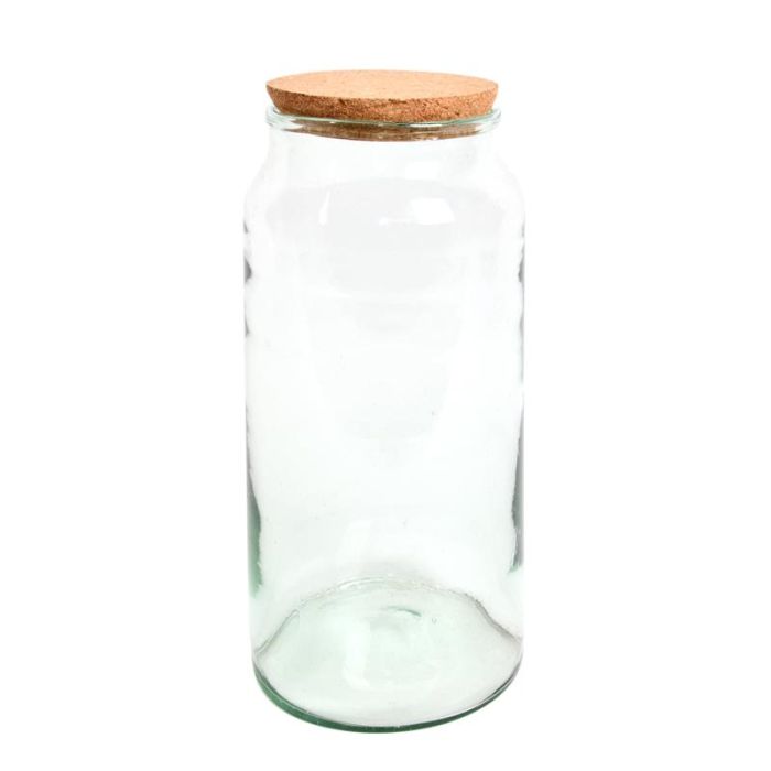 Fallen Fruits AGG70 Half Open Terrarium Bottle - Large glass enclosure, 18.5x18.5x41.3 cm