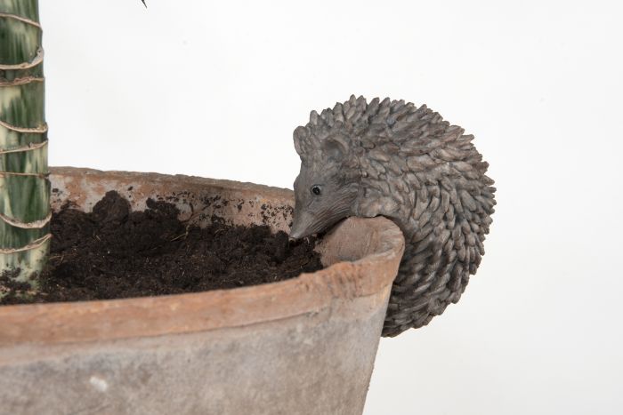 Fallen Fruits FAL44 Pothanger - Hedgehog