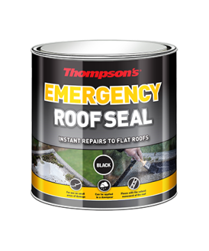 Thompson's Emergency Roof Seal - Black - 2.5L
