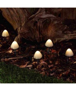 The Solar Centre Forest Solar Mushroom Lights - Set Of 12 with warm white glow