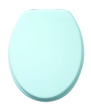 Blue Canyon MDF Toilet Seat SS Hinge in white