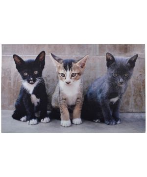 Fallen Fruits RB142 printed doormat with kittens, 100 percent recycled rubber, 76.2 x 45 x 0.5 cm
