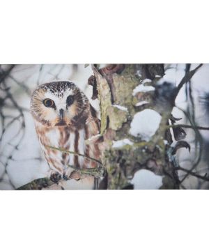 Fallen Fruits RB151 Owl Printed Doormat Rubber measuring 75 x 45 x 0.5 cm