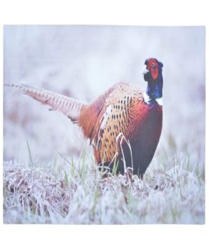 Fallen Fruits RB179 Printed Doormat - Pheasant measuring 76 x 45.5 x 0.4 cm