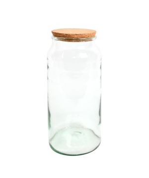 Fallen Fruits AGG70 Half Open Terrarium Bottle - Large glass enclosure, 18.5x18.5x41.3 cm
