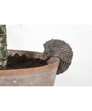 Fallen Fruits FAL44 Pothanger - Hedgehog